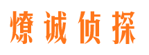 稻城市调查公司